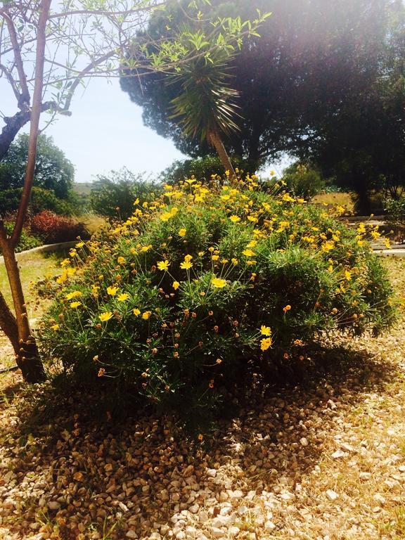 מלון Santa Bárbara de Nexe Quinta Do Atlantico מראה חיצוני תמונה